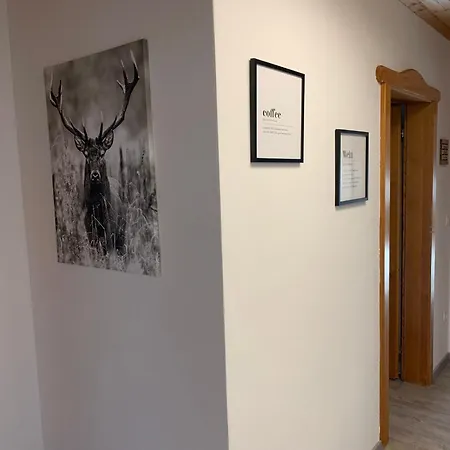 Apartmán Geyersberg 704